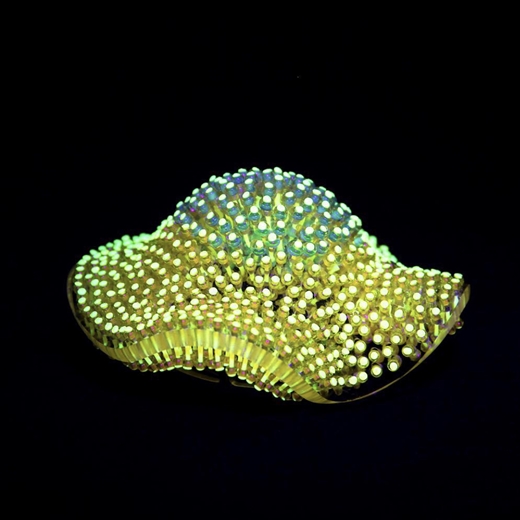 Go with the Glow series Brooch II	- Under UV light
