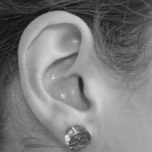 disc stud earrings